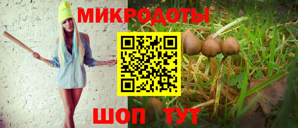 Галлюциногенные грибы мицелий Балашиха
